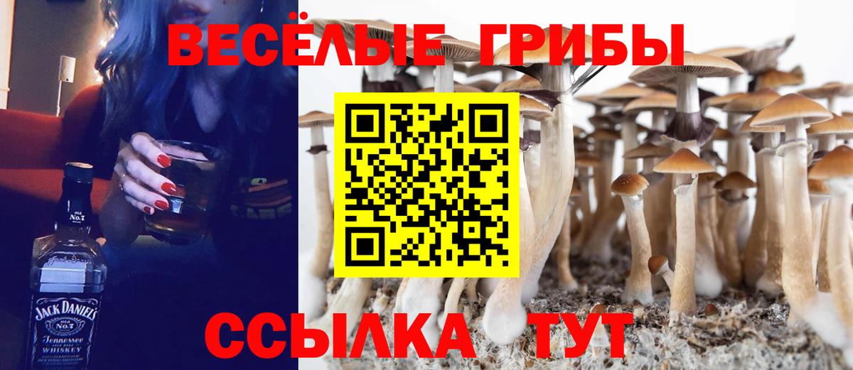 Зеленодольск  Псилоцибиновые грибы GOLDEN TEACHER  Вход с VPN  Галлюциногенные грибы Psilocybine cubensis 